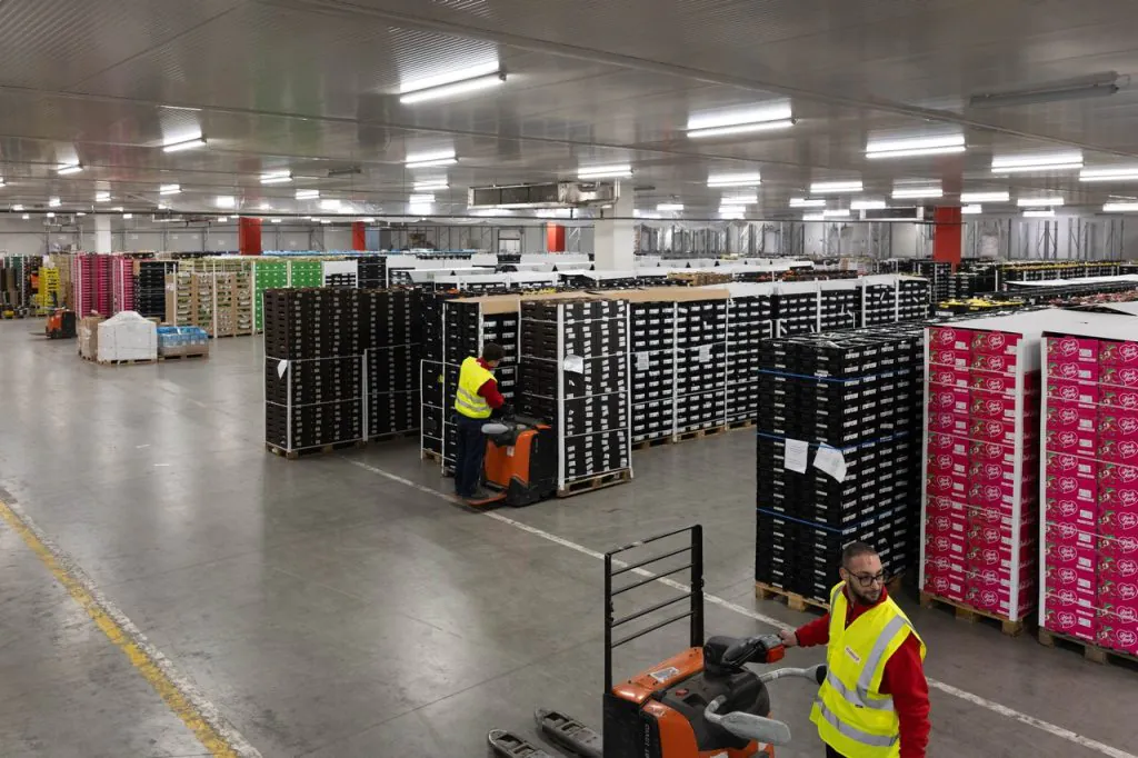 Hub regionale DIF Network a Verona per lo stoccaggio e la distribuzione di prodotti alimentari freschi e ambient
