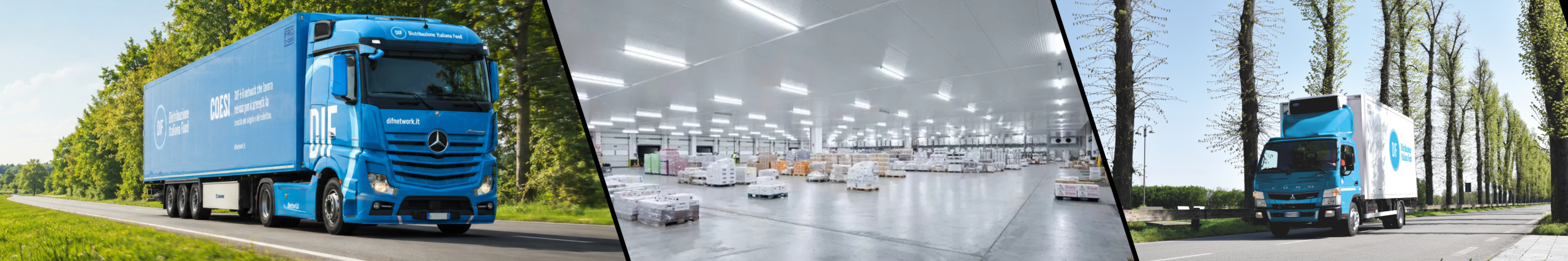 Logistica alimentare DIF Network tra hub, presidio territoriale e flussi connessi